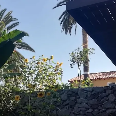 Casa Papin Inmersa En Un Entorno Natural
