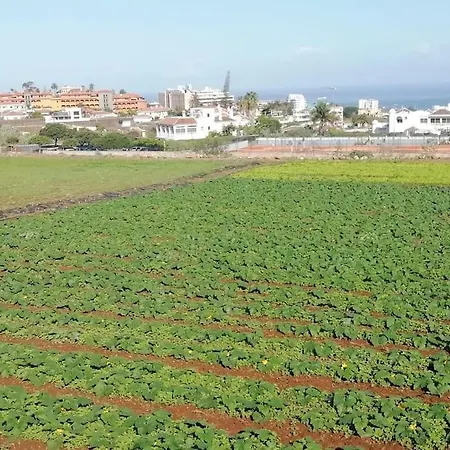 Casa Papin Inmersa En Un Entorno Natural Feriehus Puerto de la Cruz (Tenerife)