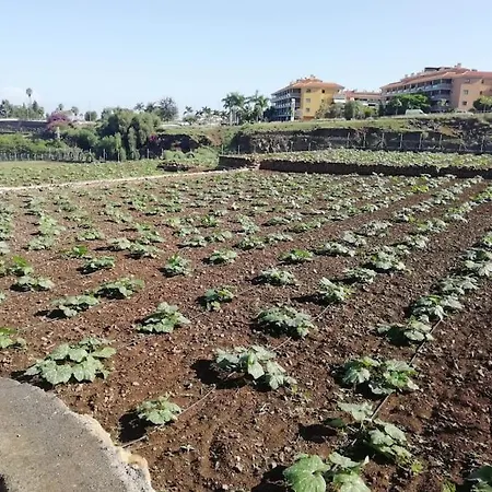 펜션 Casa Papin Inmersa En Un Entorno Natural 푸에르토 드 라 크루즈