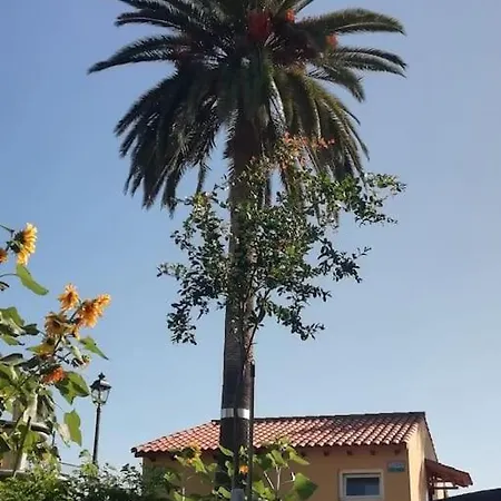 Casa Papin Inmersa En Un Entorno Natural * Puerto de la Cruz (Tenerife)