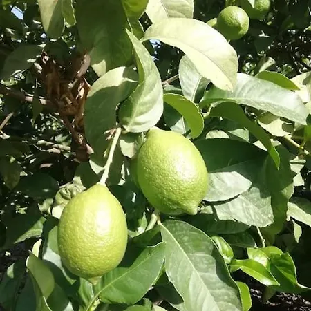 Casa Papin Inmersa En Un Entorno Natural 펜션 푸에르토 드 라 크루즈